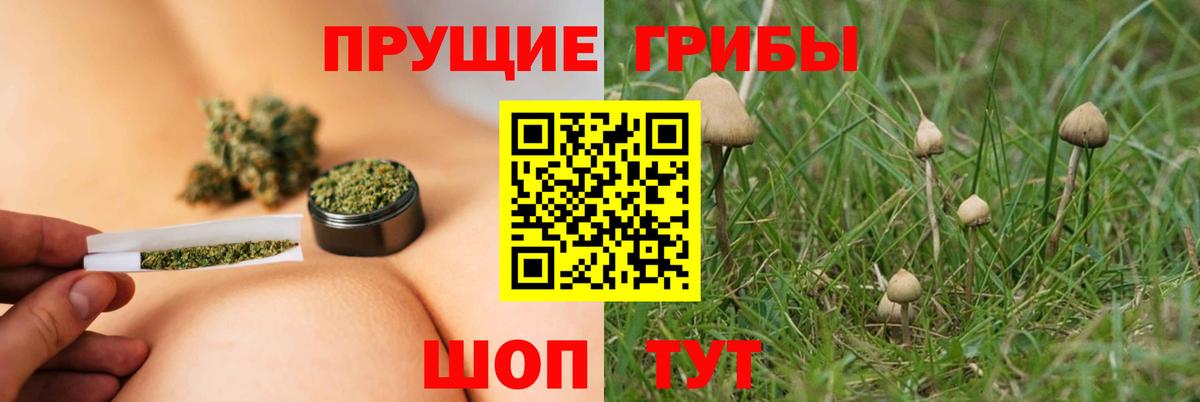 Галлюциногенные грибы GOLDEN TEACHER Верхняя Салда